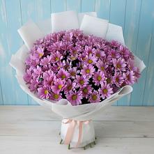Букет цветов из:  Хризантемы #REPLACE_PRED# Ярополец