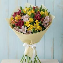 Букет цветов из:  Альстромерии #REPLACE_PRED# Ярополец